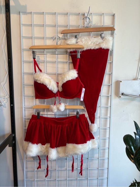La Vie En Rose Other - La Vie En Rose Red Velvet Holiday Bra & Skirt Set with White Faux Fur